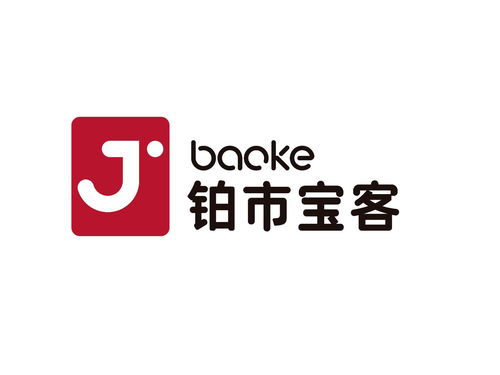 宝客上海网络科技 计算机科技的创新力量