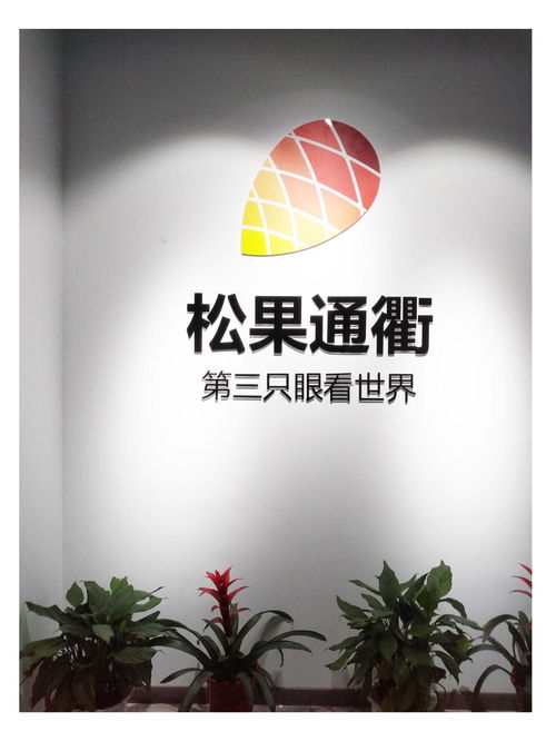 武汉松果通衢网络科技 计算机科技领域的创新力量